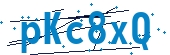 recaptcha